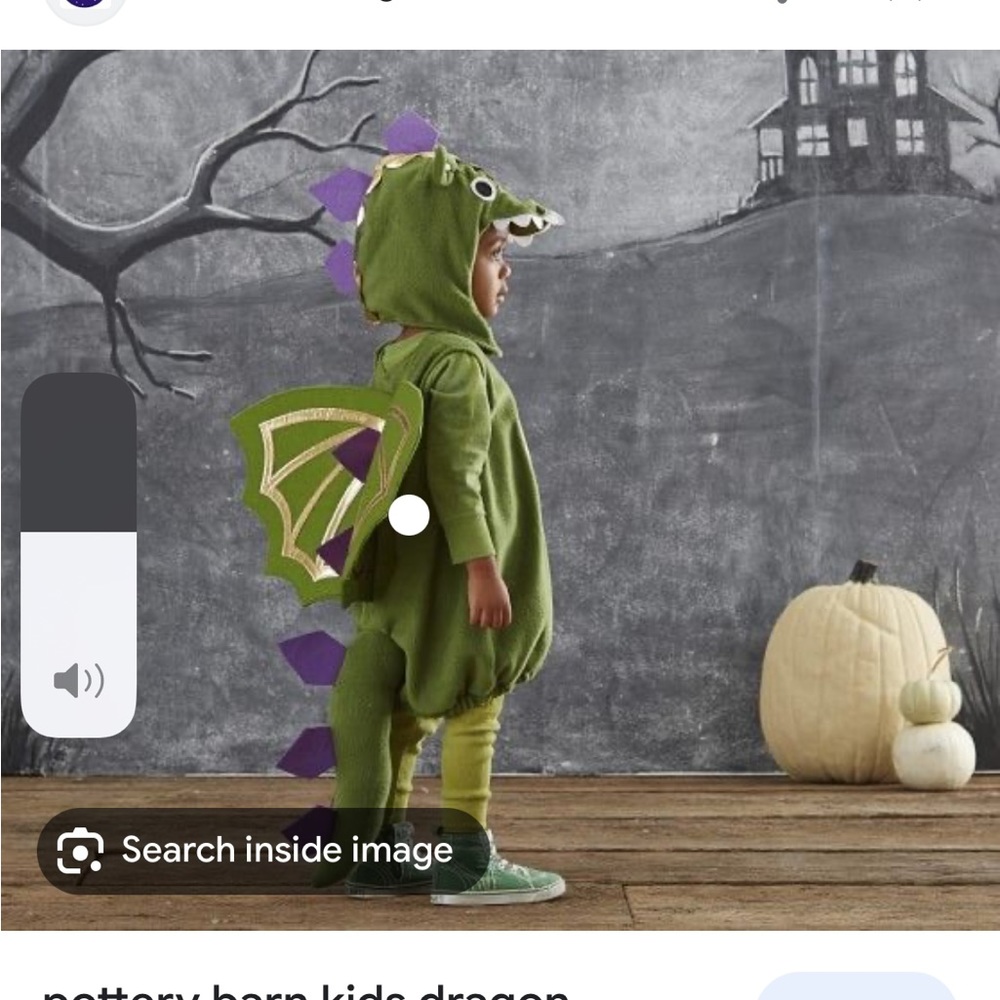 Pottery barn kids dragon costume